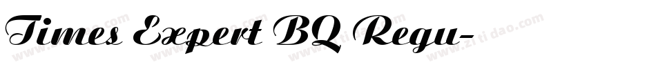 Times Expert BQ Regu字体转换